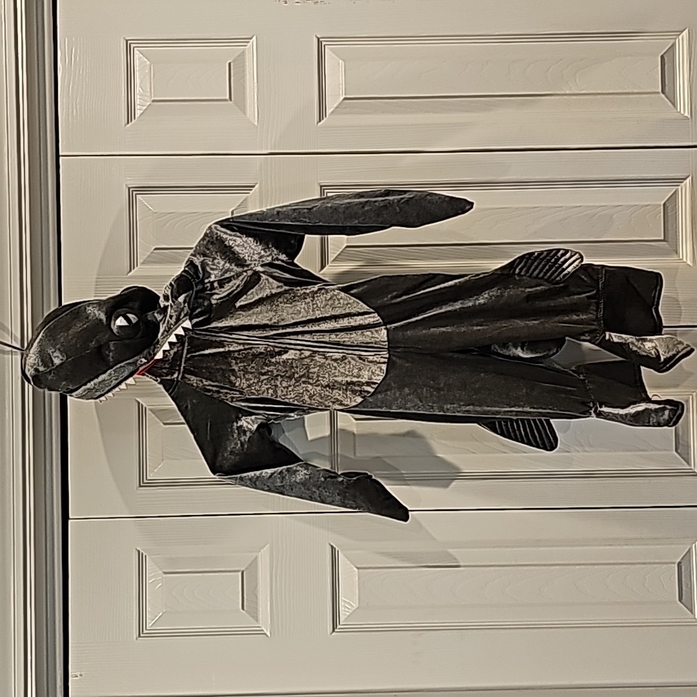 Shark costume size 2t